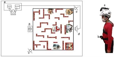 A New Paradigm for the Study of Cognitive Flexibility in Children and Adolescents: The “Virtual House Locomotor Maze” (VHLM)